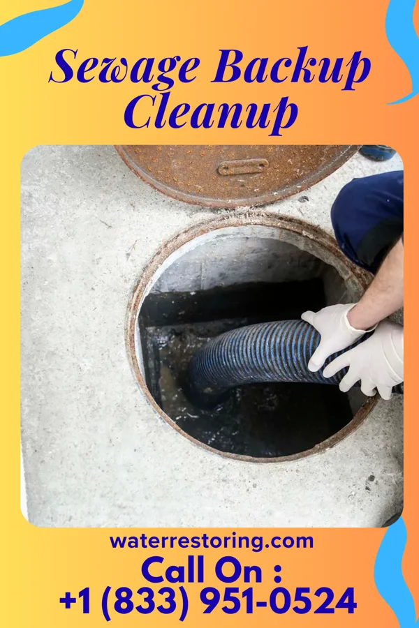 Sewage Backup Cleanup in Valier, MT